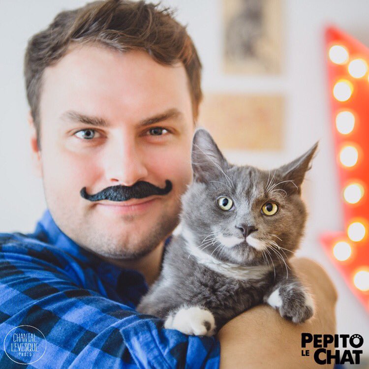 Pepito le Chat tweet media