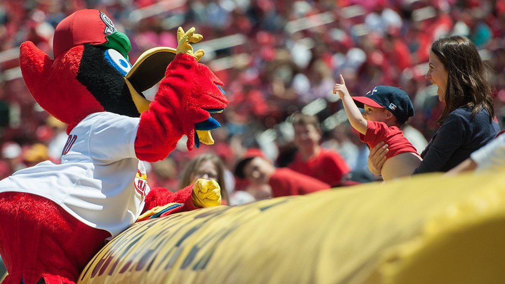 St. Louis Cardinals tweet media