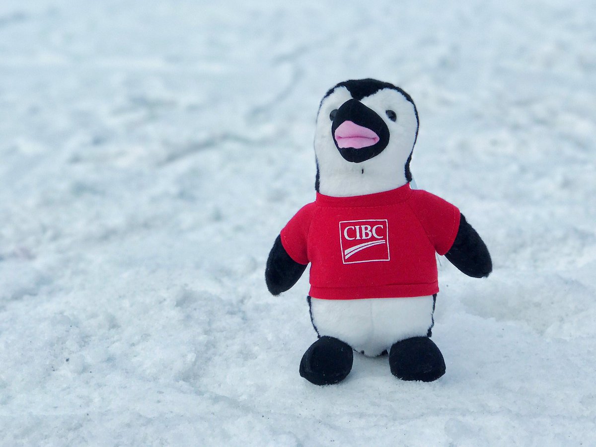 cibc's tweet photo. Can you find me? I'm hidden all over the CIBC #NationalSkiDay slopes. If you do, snap a pic! 📸 https://t.co/606LonbaaF