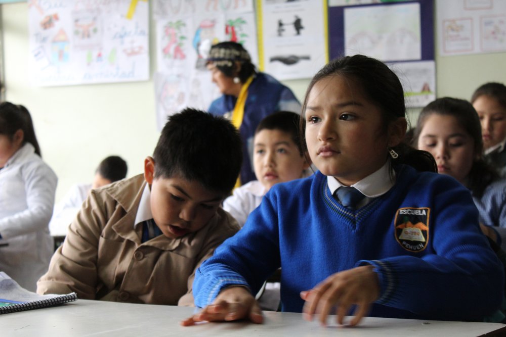 Educacion2020's tweet photo. Por qué el ranking de notas sí es un mecanismo de inclusión y equidad en educación superior https://t.co/2toHszgwvA ✊🏾 https://t.co/sZww1XT8Wh