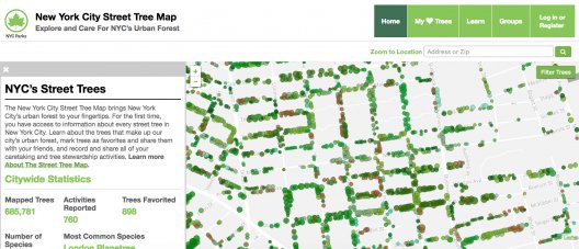 CENTROCAMPILLO's tweet photo. Viaja virtualmente a #NuevaYork y descubre cada uno de sus #árboles a través del programa #TreeCount ¡Hasta mañana! https://t.co/5nvU1I4ejF https://t.co/ptLyrHTaMy