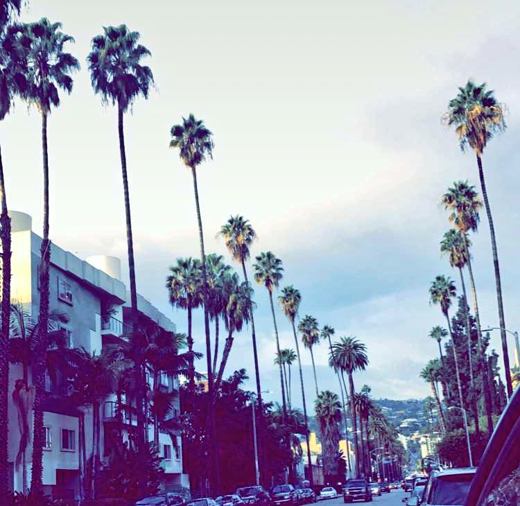 nickyygile's tweet photo. Beverly Hills https://t.co/lQJH6SKwMz