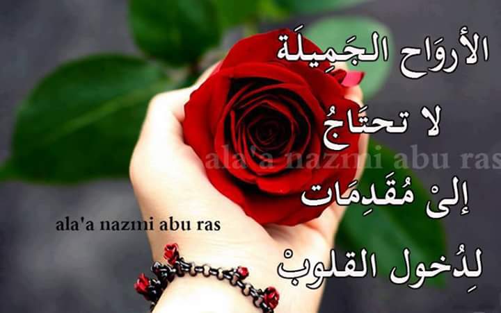 safi_shadia's tweet photo. @maysalounlsaer @M_Bate_ مساء خير ميسلون الله يلطف بنا هو رحيم يسعد.مساك https://t.co/YYog3OmRtR
