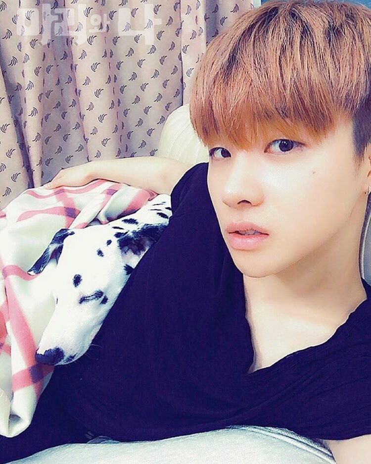 jinhwanonly tweet picture