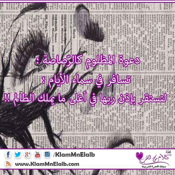 shadia.safi. (@safi_shadia) on Twitter photo <a href="/Ghada22yemen/">غاده الحوثي</a> يا بني سعود يا.اوباش انتم عصابه من..قتله لعنة.عليهم خنازير. إقترب حسابكم أنكم مصاصين دماء شعب اليمن عريق <a href="/Ghada22yemen/">غاده الحوثي</a> يا بني سعود يا.اوباش انتم عصابه من..قتله لعنة.عليهم خنازير. إقترب حسابكم أنكم مصاصين دماء شعب اليمن عريق