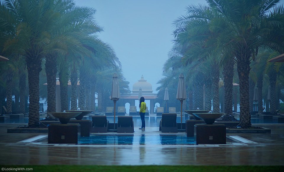 LookingWithCom's tweet photo. Looking With Ameneh https://t.co/UlQQtEuzWW
#LookingWith #PalmJumeirahIsland #PalmJumeirah @DubaiTrends #Island #PalmIsland #Dubai #UAE https://t.co/v1TkZbcxI3