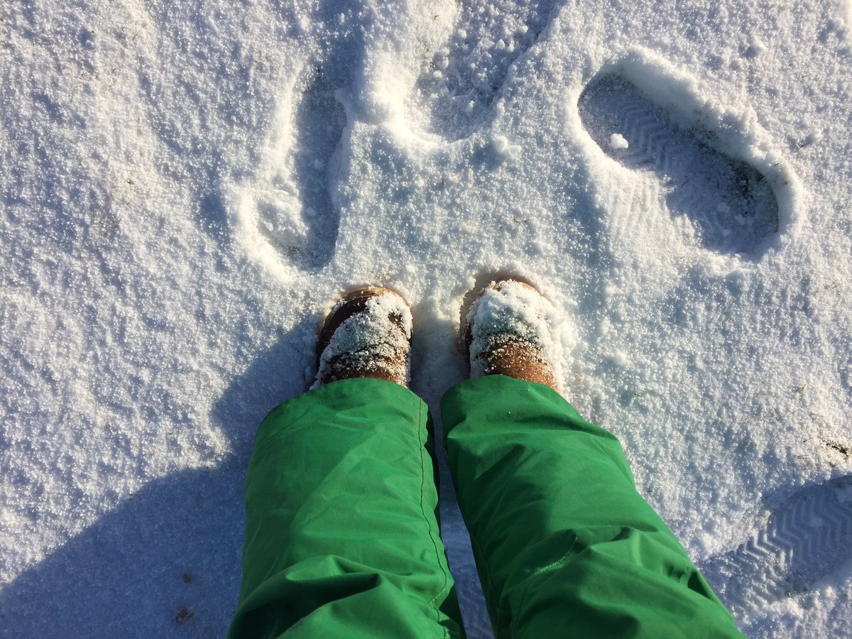 No #cycling on #Dartmoor today. Just loving the brief and glorious #snow.