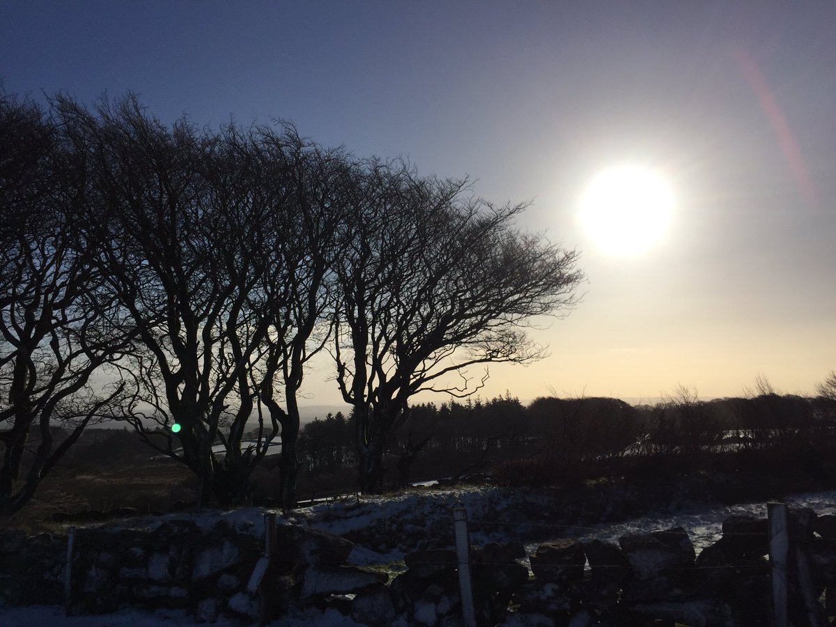 Ceri Baker tweet media