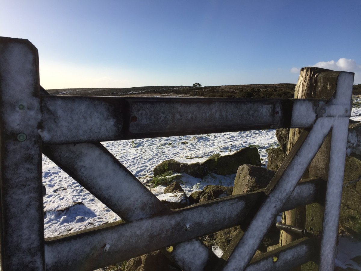 Ceri Baker tweet media