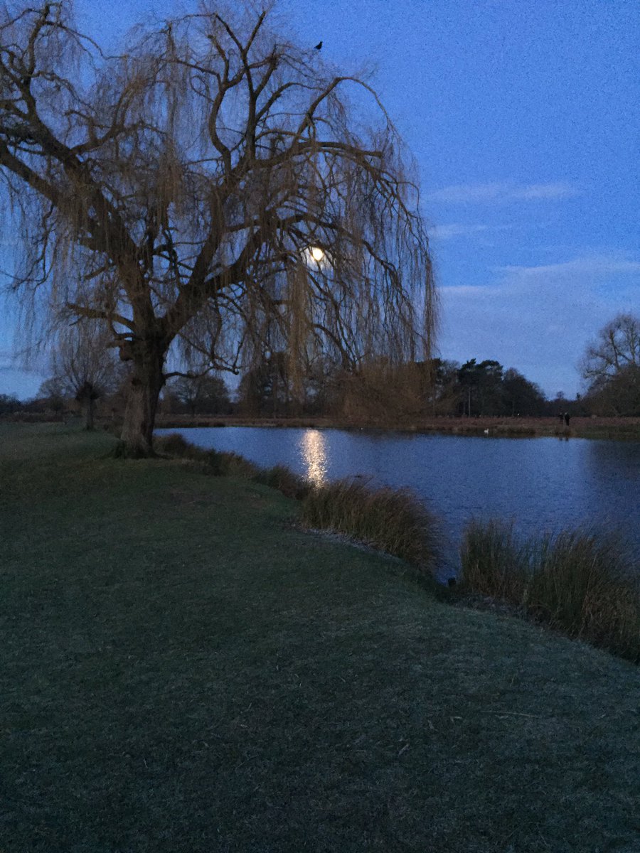 BeardedCarpers's tweet photo. Lovely cold winter mornings @HoboArmour @TheKrakenTackle https://t.co/4UUO63uEKm