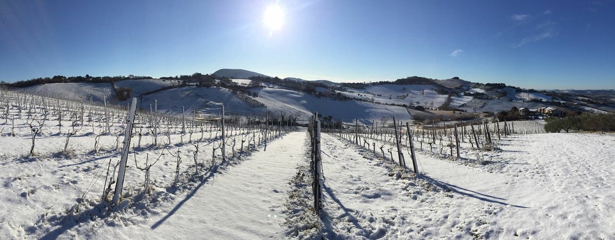 Neve anche nelle #Marche!
Cantine Moroder!
#neve2017