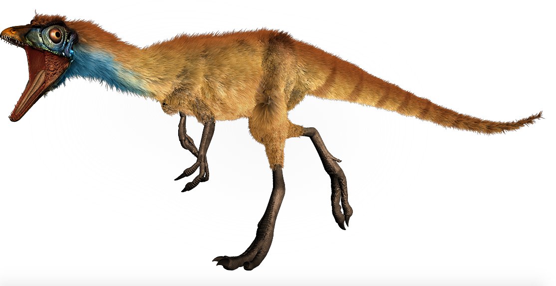 "Those look like Compsognathus," concluded Schindler. 
"But do they want to EAT us?" 
"Oh."Yes--if they're hungry." #GardenoftheGods