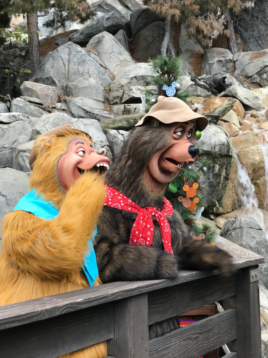 Disdarlings's tweet photo. Did you get a chance to bear hug these old familiar faces during the holidays? They were hiding out in DCA! https://t.co/bTwr5pArZU