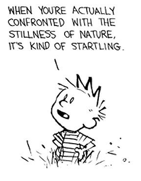 Calvinn_Hobbes's tweet photo. Take time out of every day to unplug and enjoy the stillness. https://t.co/sFOcDECA4W