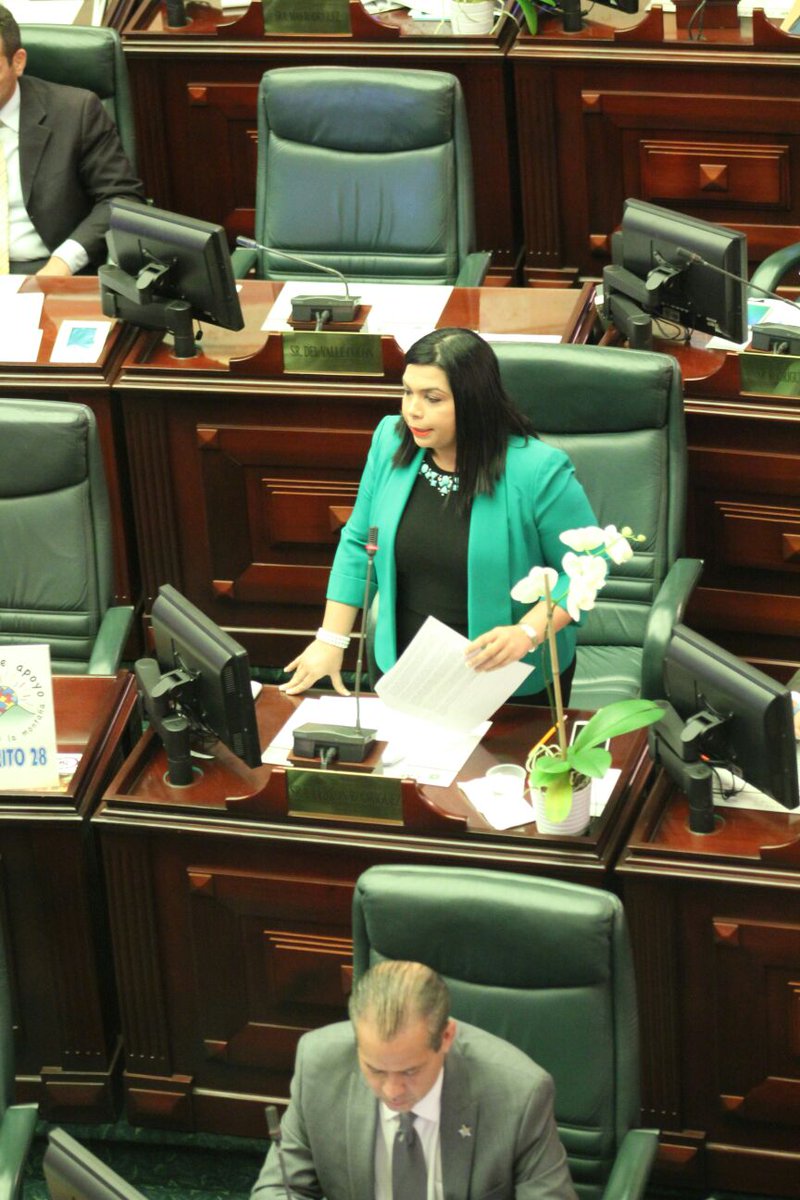 YashiraMLebron's tweet photo. Defendiendo los beneficios dentro de la Reforma Laboral a las Madres Lactantes #PC453 @TuCamaraPR https://t.co/wm4NO6kWxz