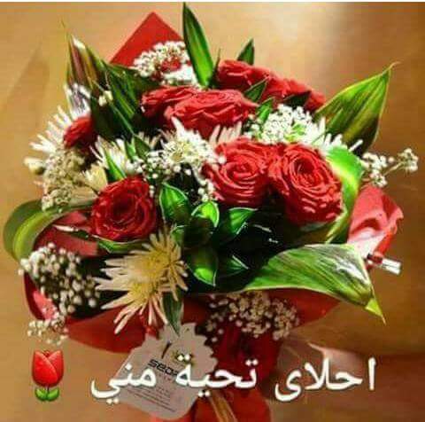 جرح الزمان (@hiaderalimageed) on Twitter photo 