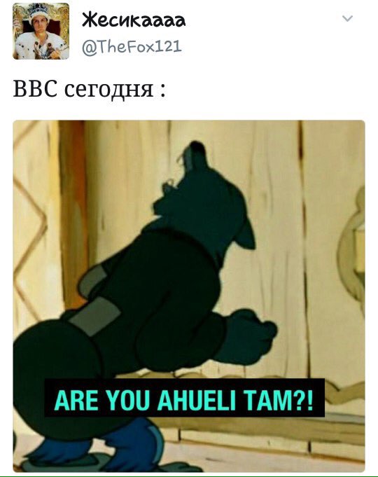 C2JpsDeW8AU_8ey.jpg:large