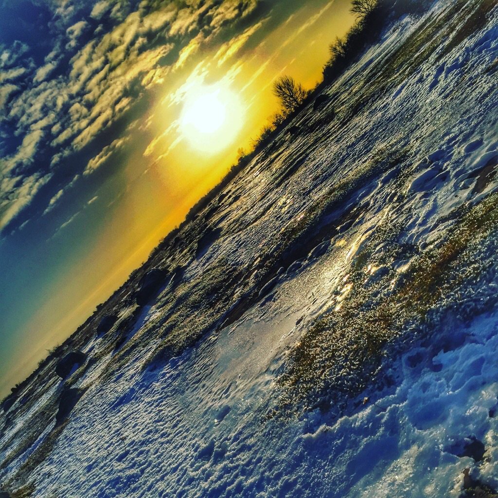 Vingligt's tweet photo. Bortom asfalt och banad väg rakt ut i vackerheten. Det är löpning på Alvar. Kalkstad, Öland #detvackraoland #öbilden #löpningpåalvar #öland https://t.co/u5J0c6shgL