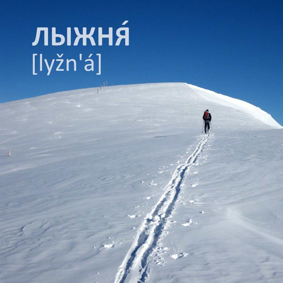 RussianMinsk's tweet photo. ЛЫЖНЯ́ [lyžn'á] 'след от лыж на снегу' #russian_language #studyingrussian #StudyIdeas #winter #ski #citylingva https://t.co/Uqx8gSmjeZ