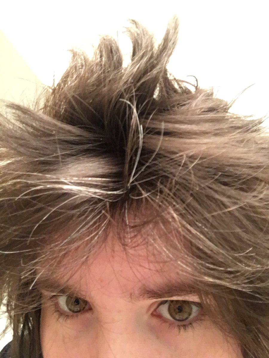 Buns But Louder On Twitter So Fun Fact My Hair Turns White When