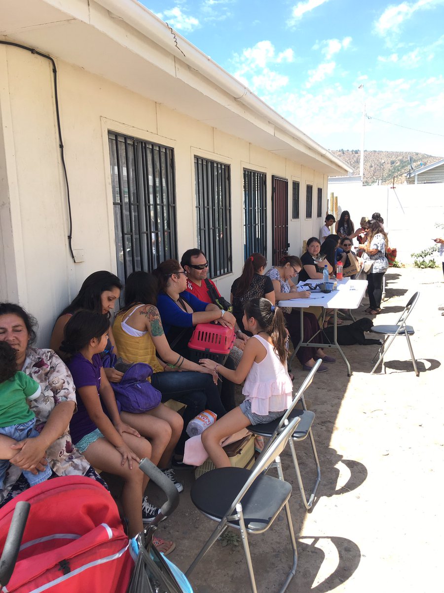 DRPREYES's tweet photo. Más de 60 gatos se esterilizaron hoy en #Melipilla ! Excelente jornada @munimelipilla @ptrac_subdere @fundCeba @laSUBDERE https://t.co/Vh1xtvOsQ0