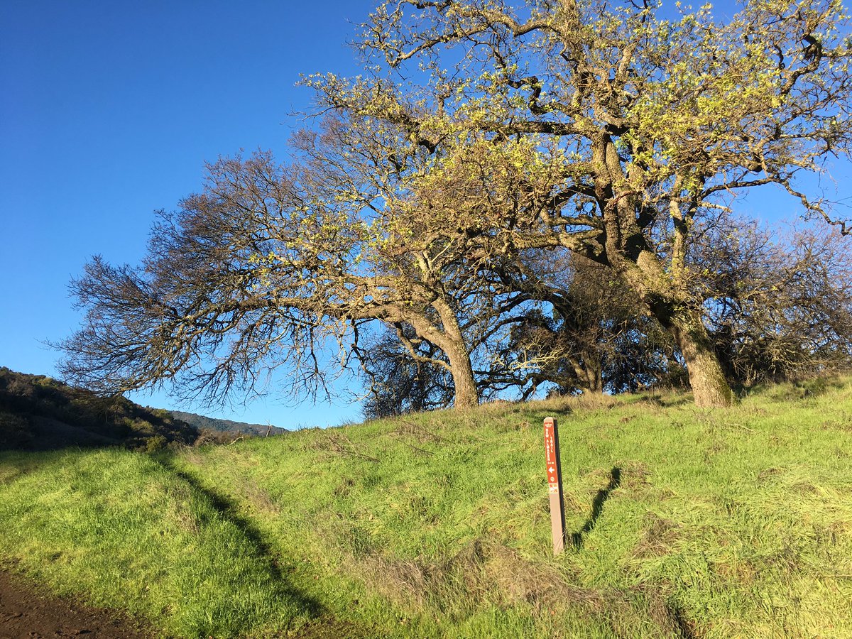 Kevin4Health's tweet photo. Great weather for a #trailrun. #getoutside #GetFit2017 #getplexus https://t.co/b0jILWfiIl