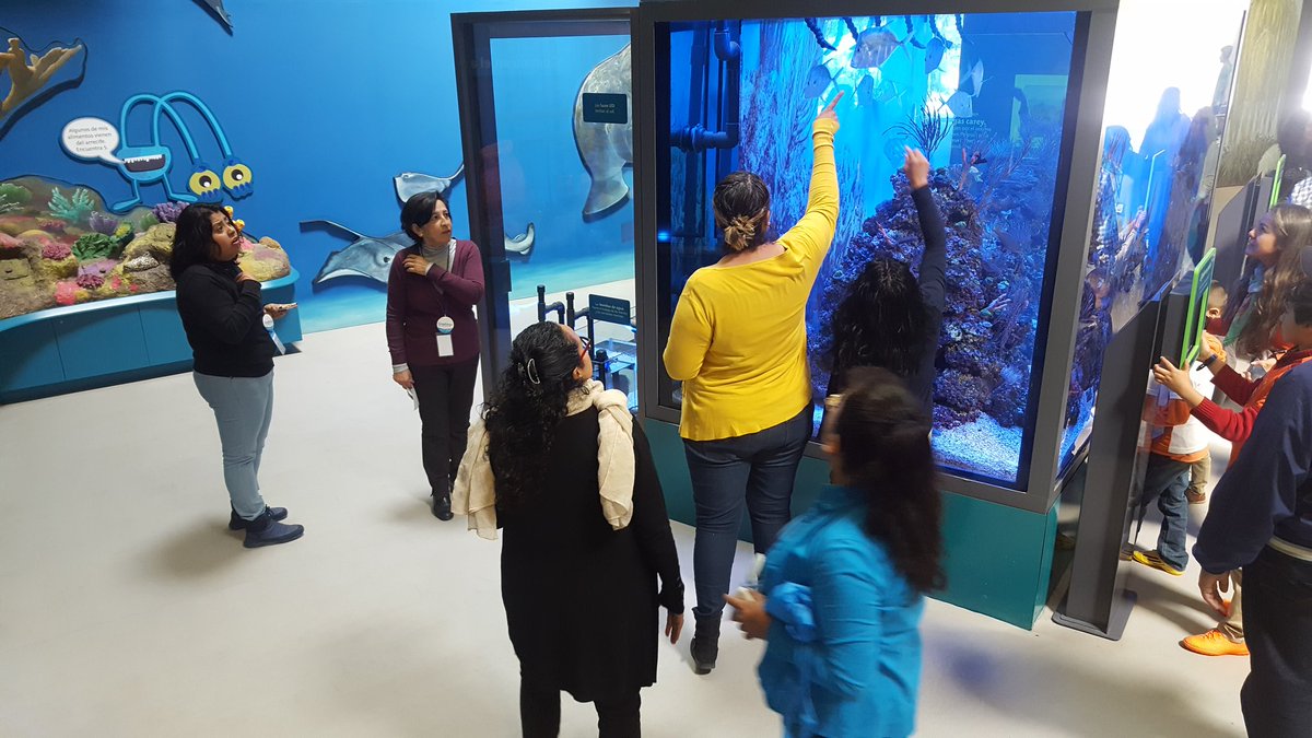 vargasca91's tweet photo. Juega, diviértete y aprende con #Creativos y #STEM #TeachersTryScience con los maestros de @Papalote_Museo @ibm_mx @citizenIBM #IBMCitizenLA https://t.co/fCeNmK94ly