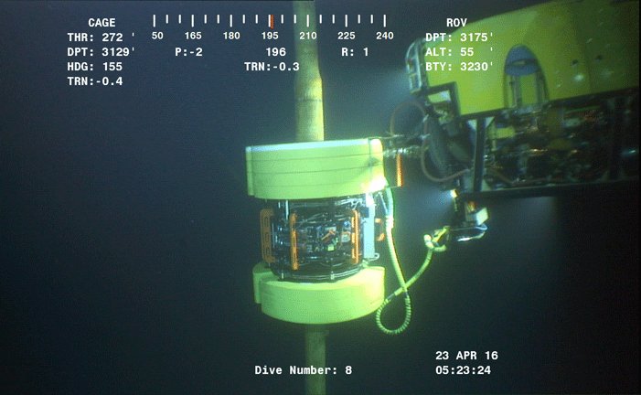 Tracerco's tweet image. Flexible #flowlines and flexible #risers can both be inspected using Discovery™ #technology hubs.ly/H05MS_C0