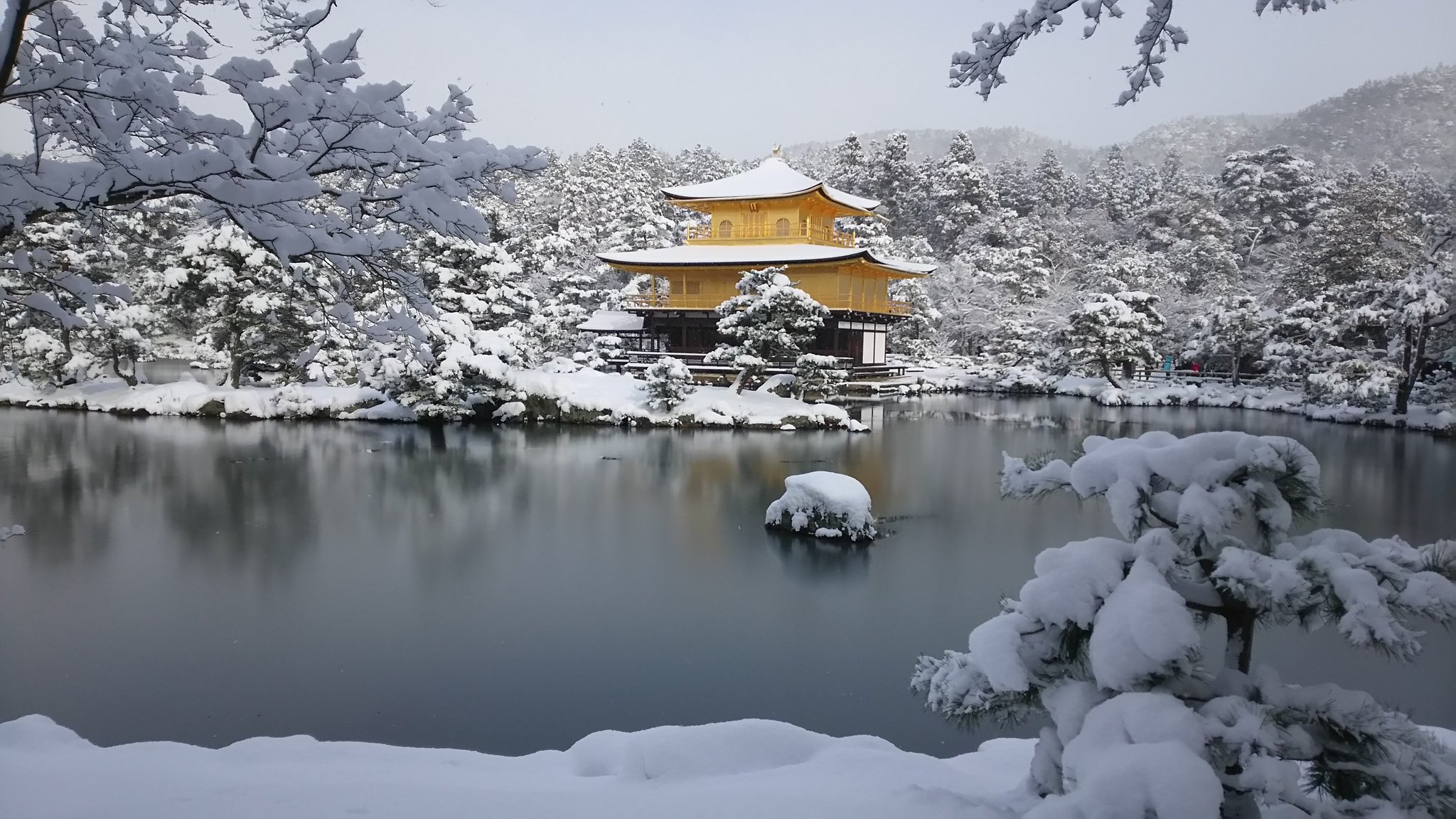 えりまむ Erimum15 Twitter