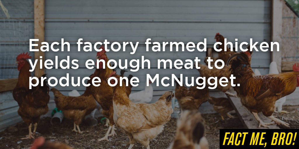 Fact Me, Bro! tweet media