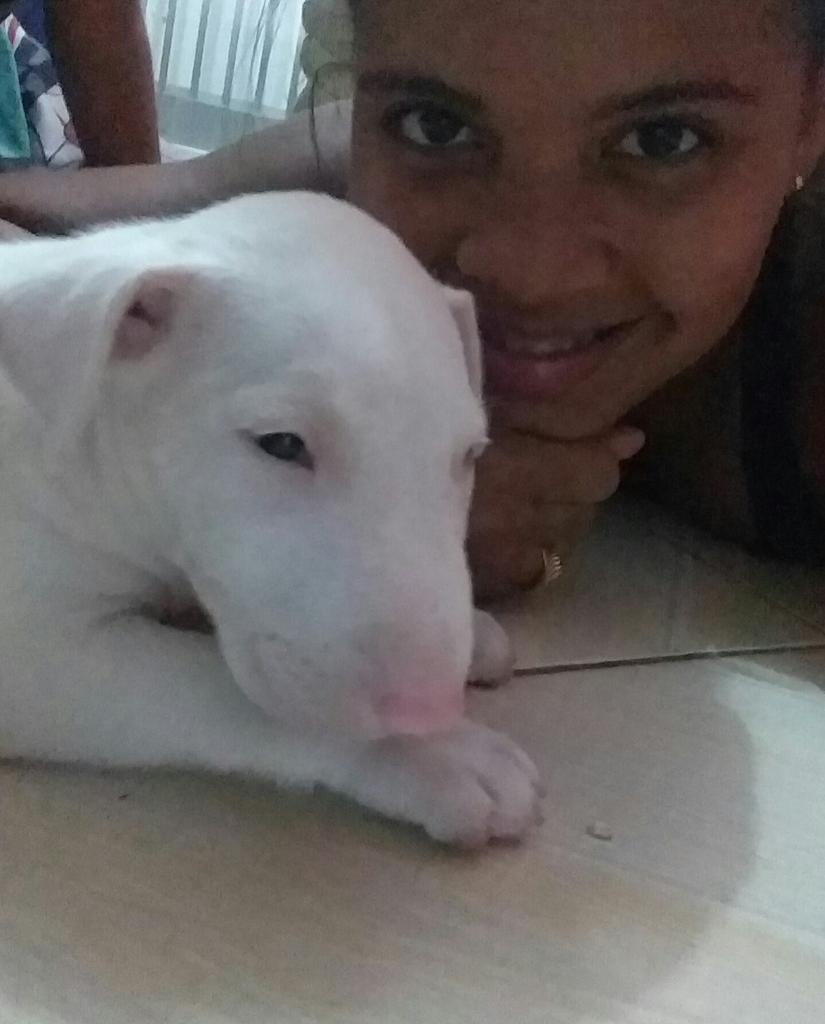 FraNVeraS3's tweet photo. GAEL CHEGOU !!! ❤😍
#Filhode4patas
#PraAMAR
#PraCUIDAR
#Meuamigo https://t.co/Z0Qa9ddFV2