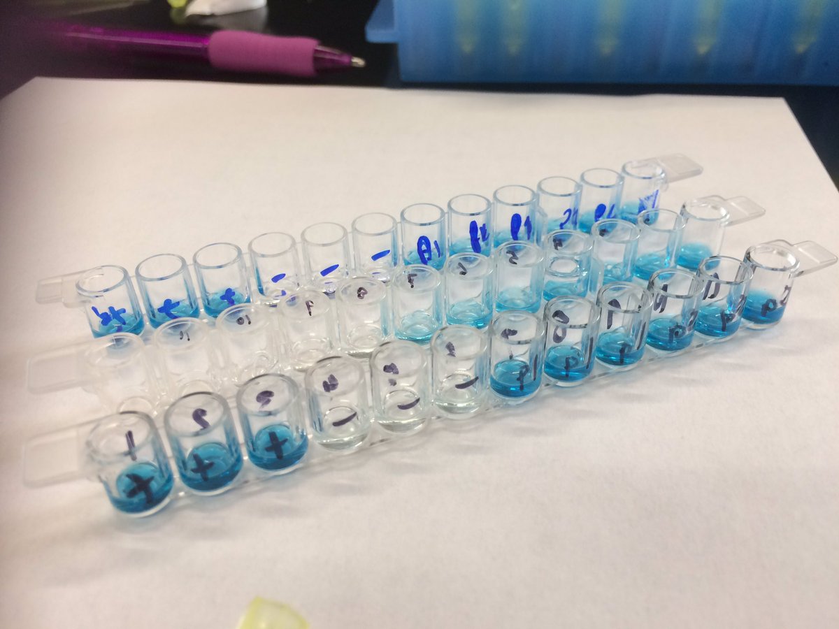 Crystal77Wulff's tweet photo. @MurdockTrust learning how to bring ELISA into the. Classroom #PIS2017 https://t.co/wSSmyb2cim