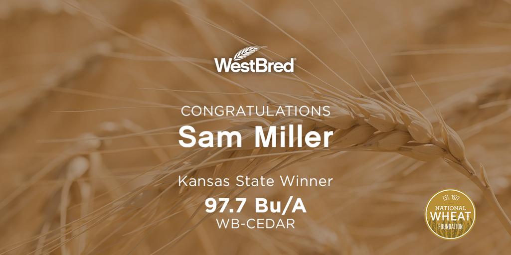Congrats Sam Miller, the 3rd place #NWYC Kansas state winner in the #winterwheat #irrigated category w/ a 97.7 Bu/A yield.