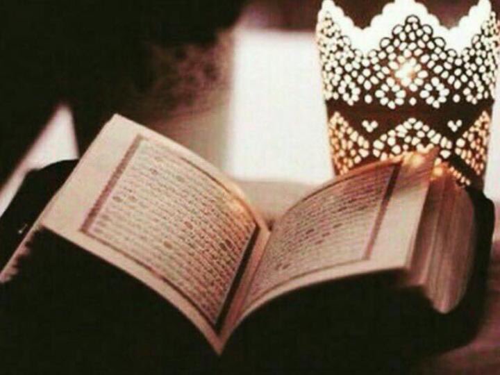 لاتهجروا القرآن لأنه نوُر
فقارئ القرآن لايشكـــوا
حزناً .. ولاهماً .. ولاغماً ...!!
