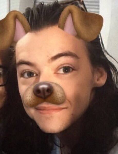 appreciatinghaz's tweet image. we need more of this 😭
@Harry_Styles