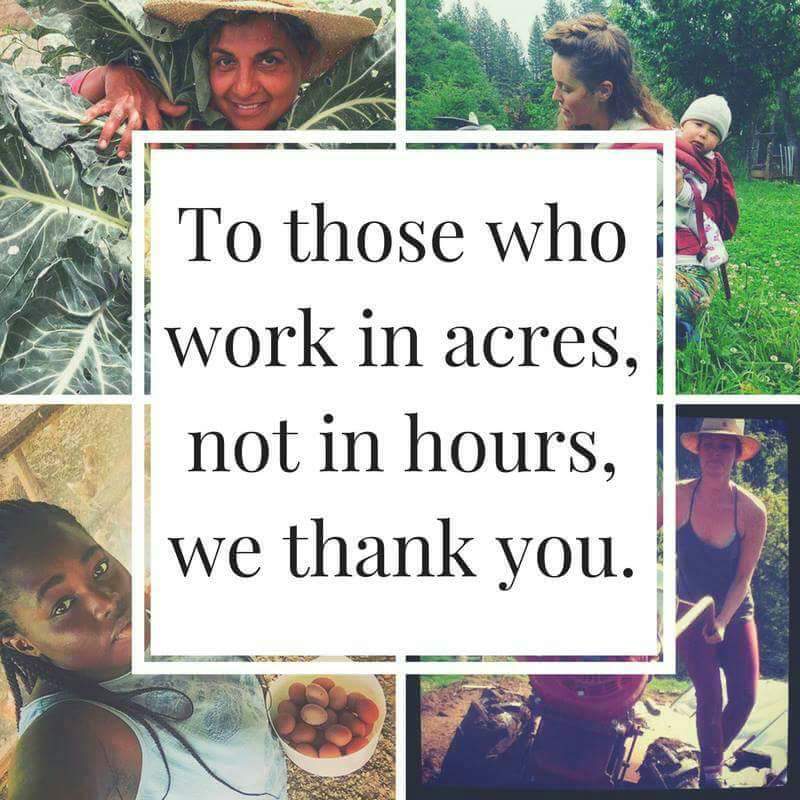 DaniNierenberg's tweet image. Thank you to every person who devotes their life to feeding the world. You are not unseen.