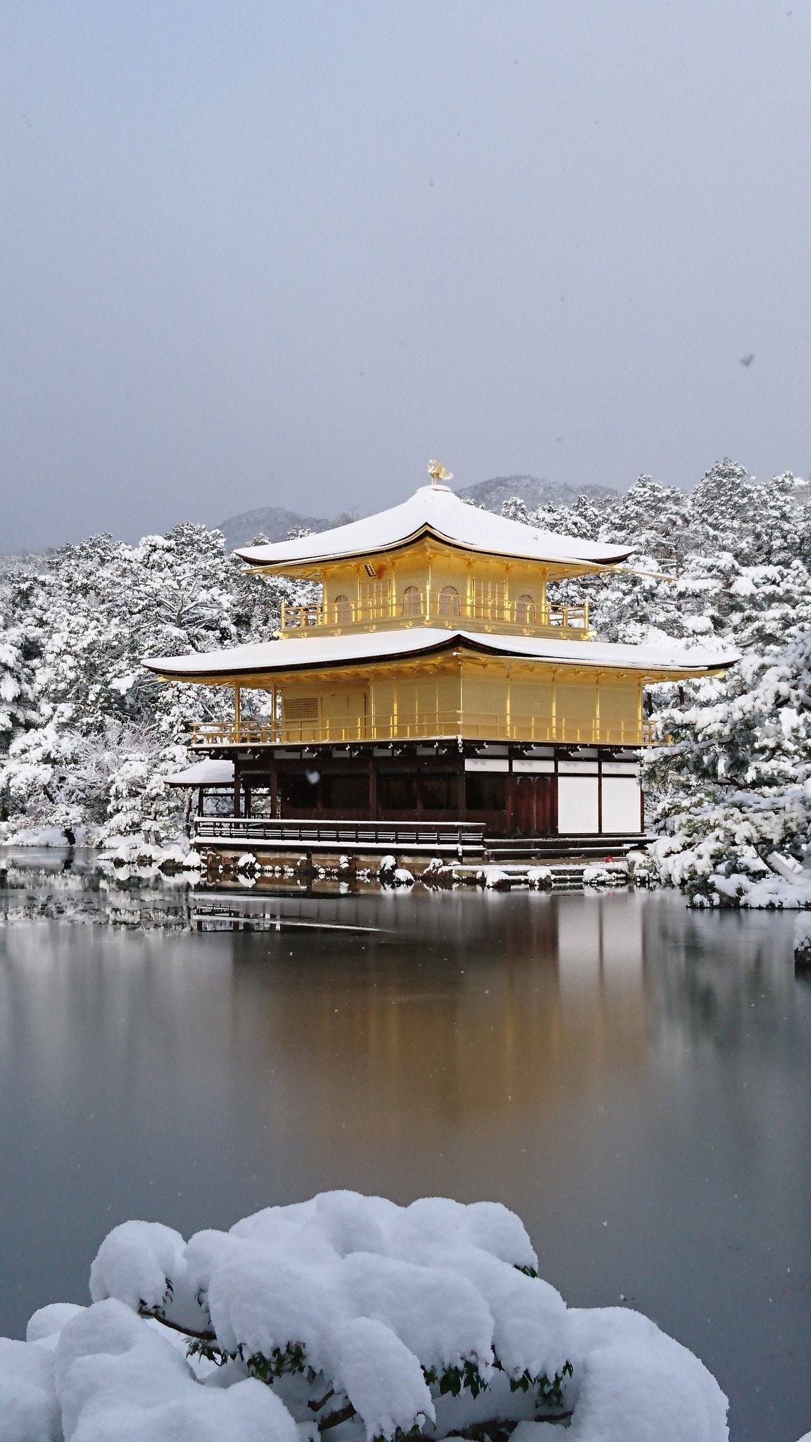 雪化粧の金閣寺はやっぱりなにか違う凄さがある 話題の画像プラス