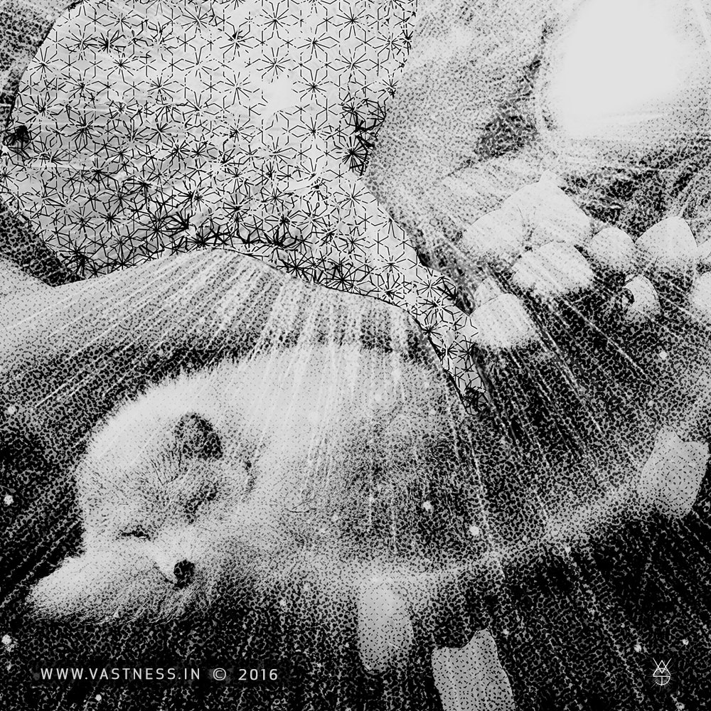 VastnessIn's tweet photo. Sanctuary 2016.
#vast #vastness #artwork #art #fine art #print #collage #digital #detail #offset #black https://t.co/LUJCK6sIld