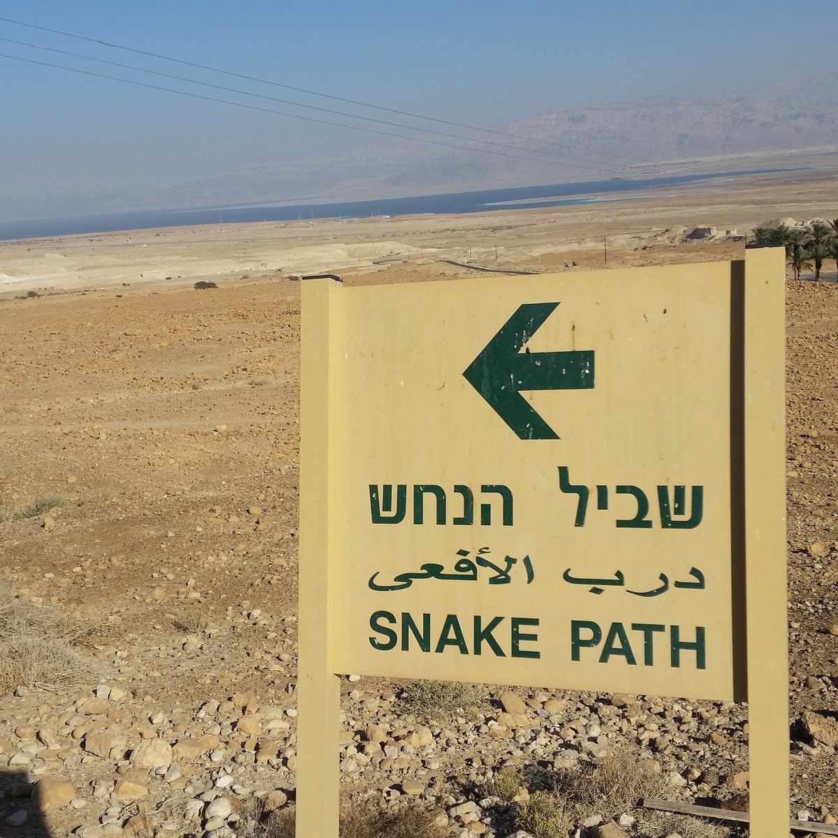 Geen woord hebreeuws noch arabisch erbij geleerd in week Israël. 😕