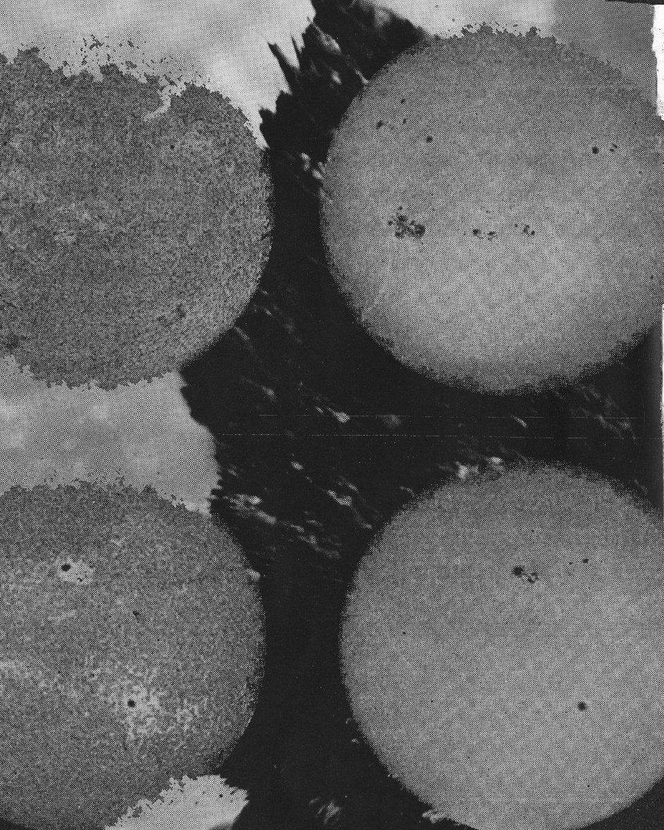 ditchprojects's tweet image. Solo shows by Jessie Rose Vala and Chelsea Couch open tonight 6-8. ditchprojects.com