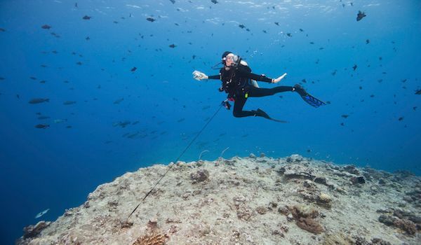 PalauDive's tweet photo. "5 reasons why you should use a reef hook in strong currents" https://t.co/Wn2MDU0MWU #scuba #ocean https://t.co/KS2CNmZDTV
