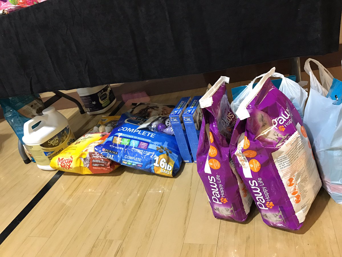CaseyValiant's tweet photo. For my 7yo's kitty cat bday party, she wanted to accept donations to @vhslifesaver https://t.co/NuuBf1RTqk