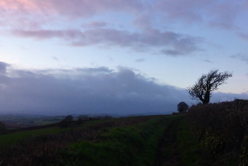 Monk_Po's tweet photo. Didn't race tonight, but I did get a lovely, easy-paced training #run in through #SouthDevon at dusk. #ukrunchat #MAF180 #GoSlowToSpeedUp https://t.co/5b1Es0mWyo