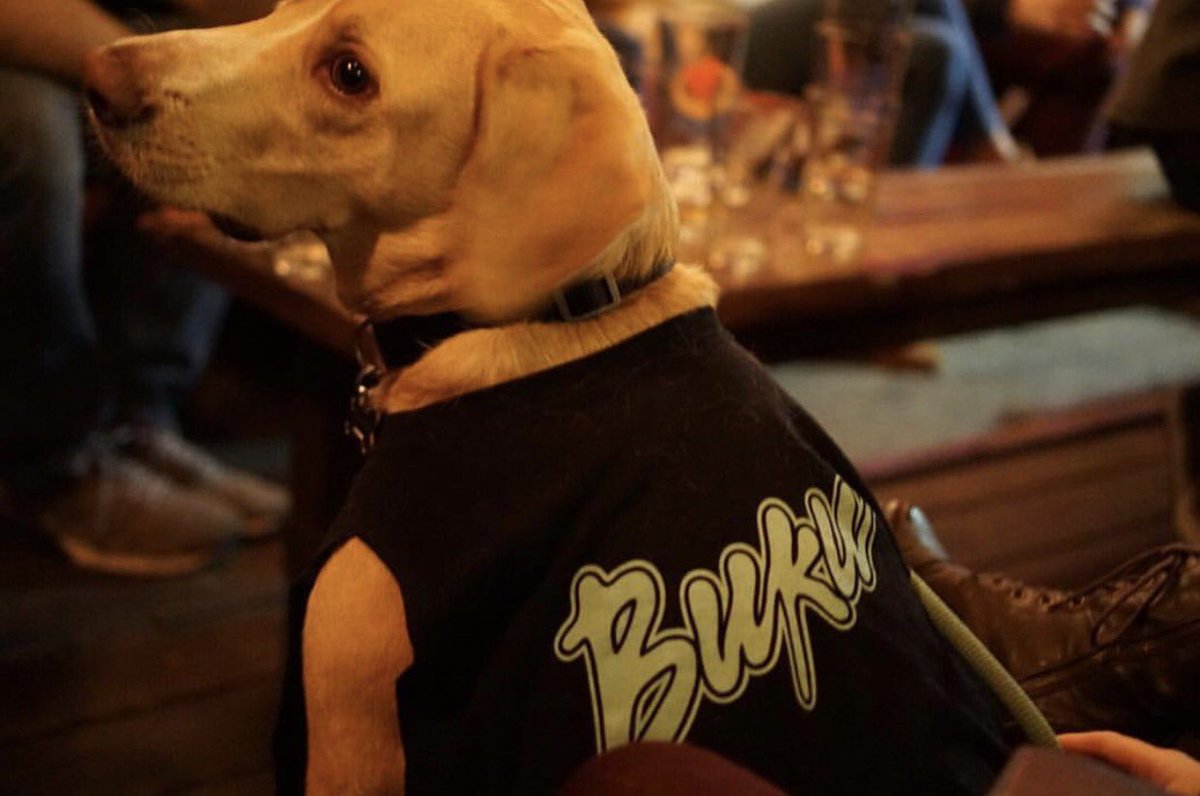 chrisfolse's tweet photo. 1 like = 1 lit af drop from dj pupperoni at @TheBukuProject. Let's get Ollie boy that headline slot. #OllieToBuku https://t.co/CDE7qe6Ixl