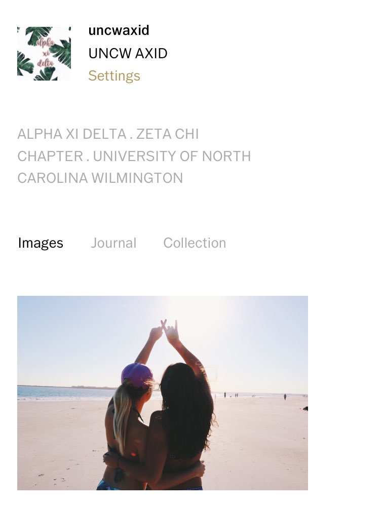 Follow us on VSCO! 🌻