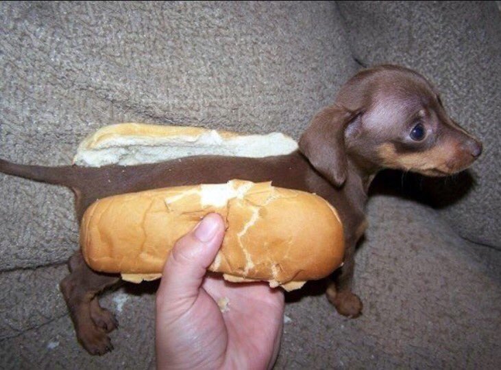 Nick ...... when I said I was craving hot dogs ....... #awkwardsupper