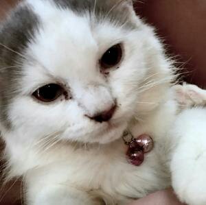 Come join me, or you'll be left behind #BIGOLIVE. web.live.bigo.sg/2151220350_263…