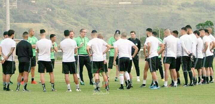 iness_fashion's tweet photo. Bonne chance les verts🇩🇿 #Algérie
#CAN2017 #Dz
@Mahrez22 @nabilbentaleb42 @Bounedjah14 @Hillal_Soudani @slimaniislam https://t.co/Ij5hqeNrJX