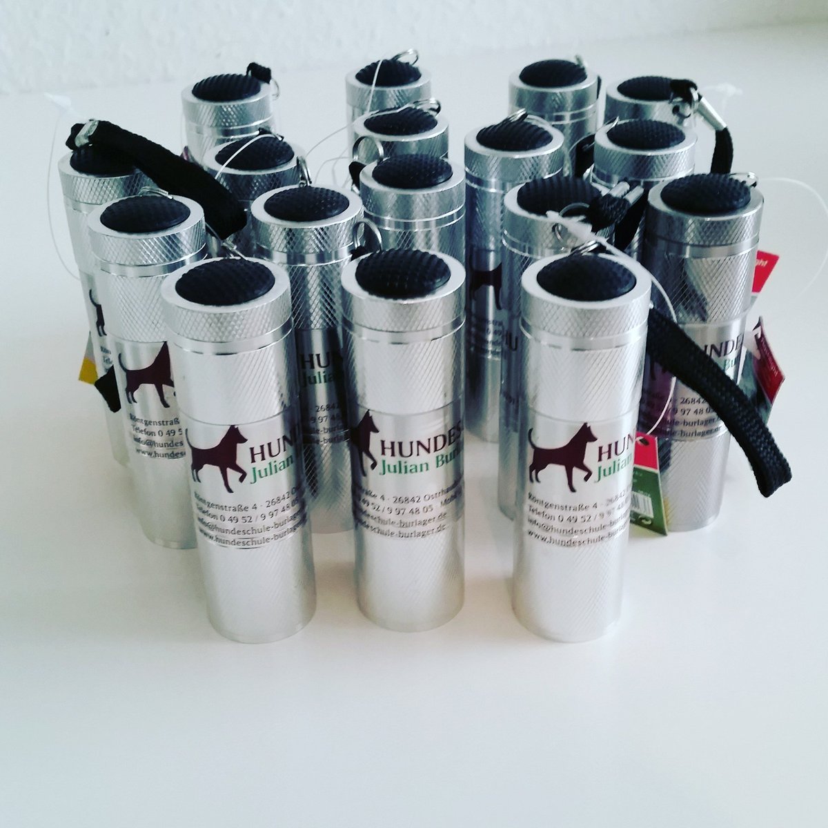 In der  HUNDESCHULE geht uns  ein  Licht auf!