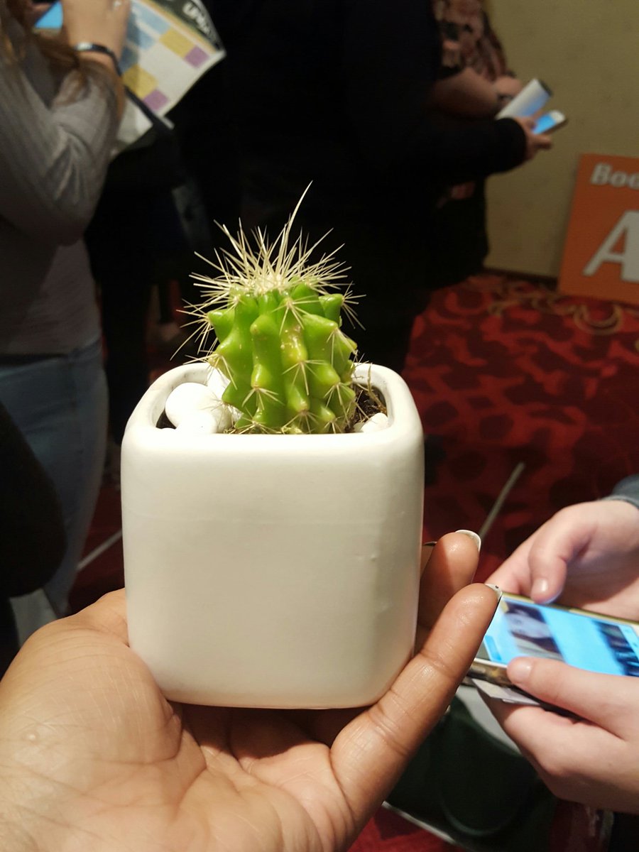 April_Le_'s tweet photo. #Bactus in line for photo ops. https://t.co/Qdsk2laPJV